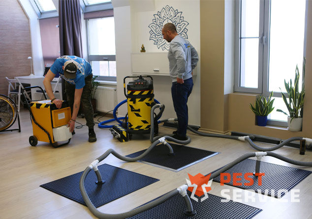 Профессиональная сушка после потопа в Мариинске от 3000 руб. Быстро устраняем влагу, предотвращаем плесень и повреждения. Современное оборудование и опытные специалисты. Безопасно и эффективно.